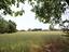 Immagine 12