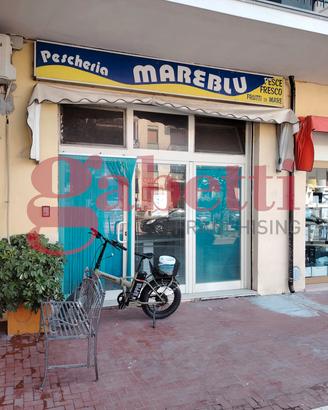 Negozio Venafro [VE RRP46-C72ACG]