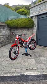 trial beta evo 300 2t 