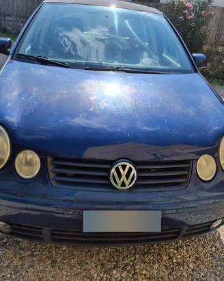 Volkswagen Polo 1.4 TDI 5 porte (2004) – Economica