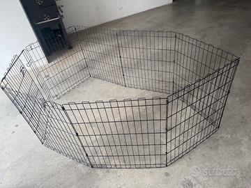 Recinto box cani