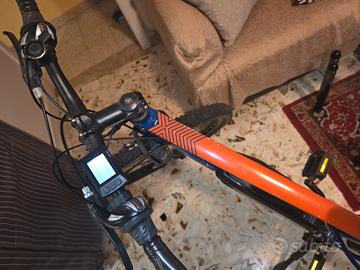 bici elettrica 