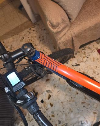 bici elettrica 