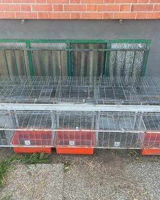 Gabbia per conigli