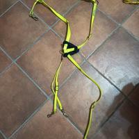 Articoli equitazione