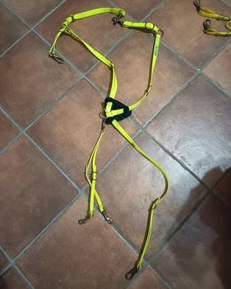 Articoli equitazione