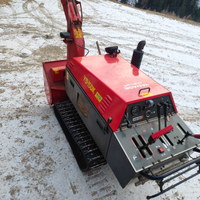 Ricambi Fresa da neve Yanase y9-15dk