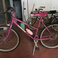 Mountain bike Legnano Galates