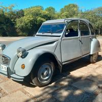 Citroen 2cv 6special
