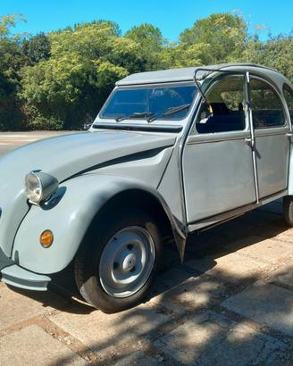 Citroen 2cv 6special