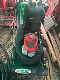 Aspirafoglie BILLYGOAT