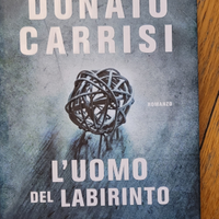 L'uomo del labirinto