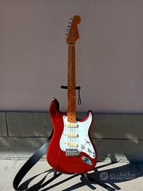fender Partscaster "Gilmour tribute" 