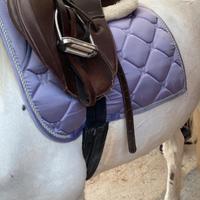 sottosella waldhausen lilla