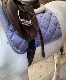 sottosella waldhausen lilla