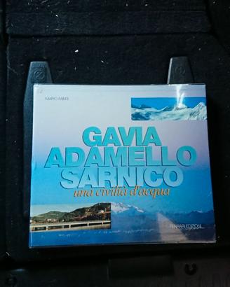Libro di Mario Fanti, Gavia Adamello Sarnico