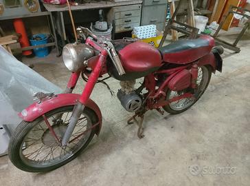 BENELLI LEONCINO