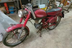 BENELLI LEONCINO