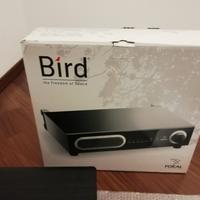 SISTEMA FOCAL BIRD