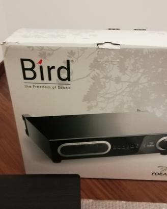 SISTEMA FOCAL BIRD