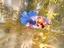 Immagine 4