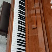 Pianoforte Zecklin Zurich