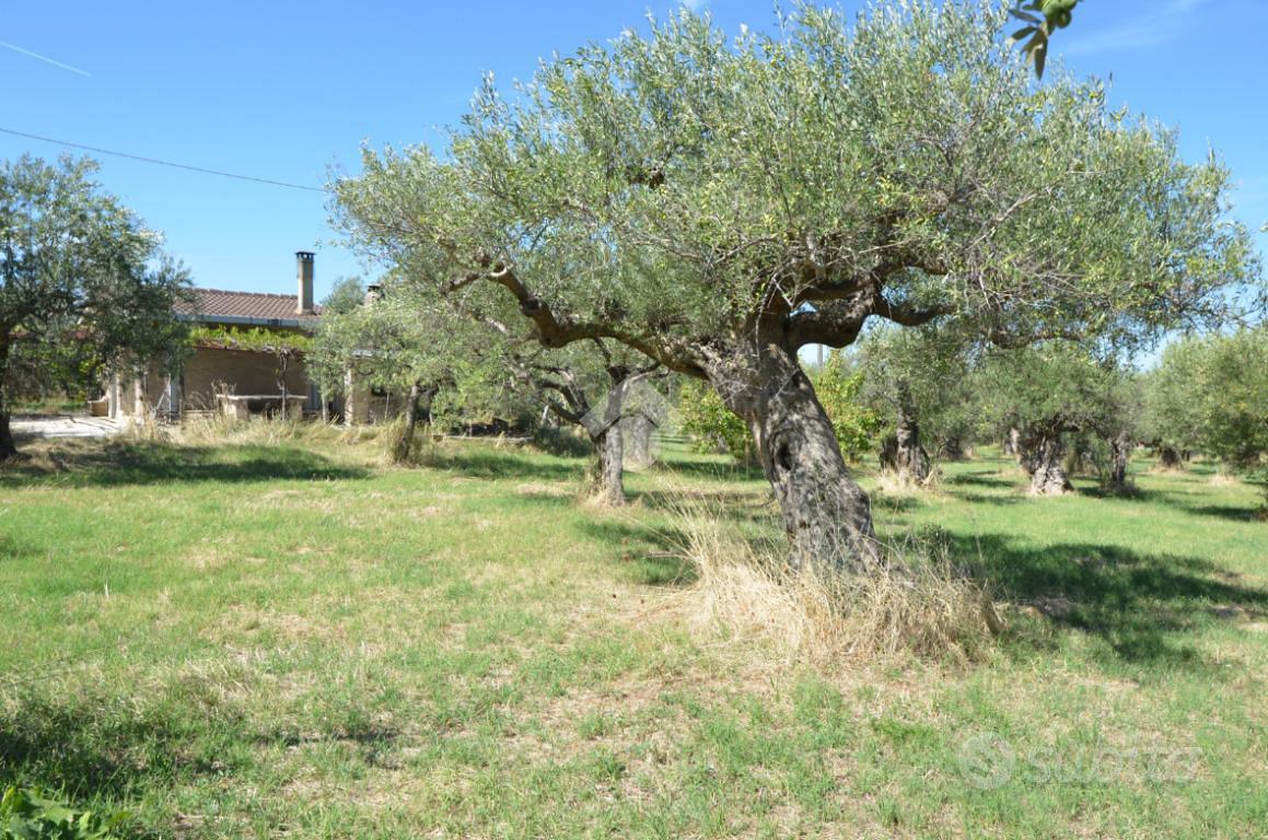 TER. AGRICOLO A TIVOLI - Vista 3