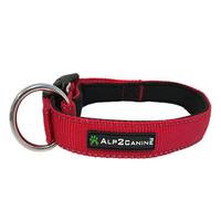 COLLARI  ALP2 CANINE - REFLECTIVE PRO