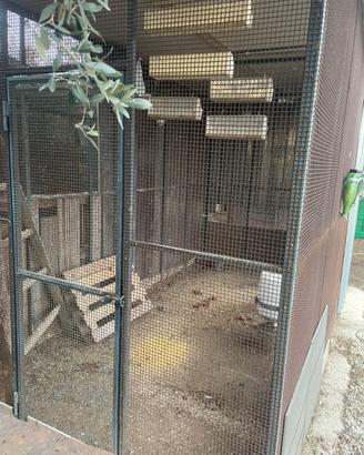 Voliera gabbia per animali