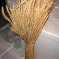 Mazzo di Segale, (munnolo) per pulire forno