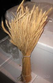 Mazzo di Segale, (munnolo) per pulire forno