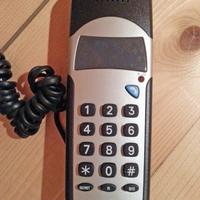 Telefono + radio + termometro