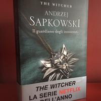 The Witcher (Vol. 1)