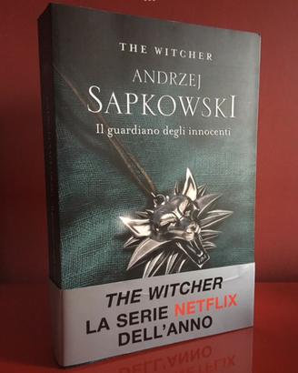 The Witcher (Vol. 1)