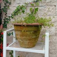 vaso terracotta