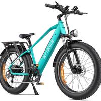 Engwe E26 Bici Elettrica