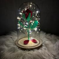 Rosa crochet la Bella e la Bestia