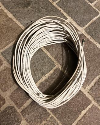 Cavo antenna TV