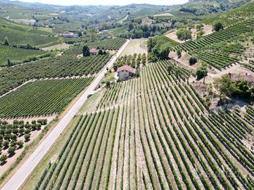 TERRENO A ALBA