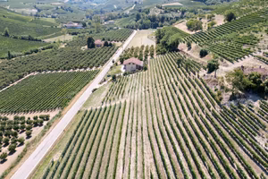 TERRENO A ALBA