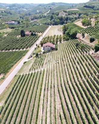 TERRENO A ALBA