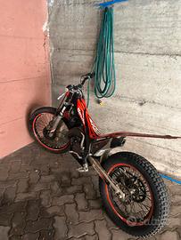 Trial beta evo 300 2012