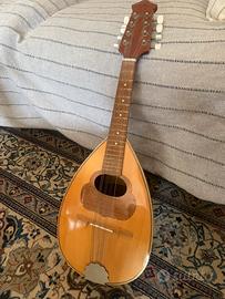 Mandolino Liuteria Meazzi