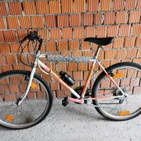 Bicicletta mountain bike mtb con marce