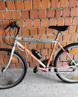 Bicicletta mountain bike mtb con marce