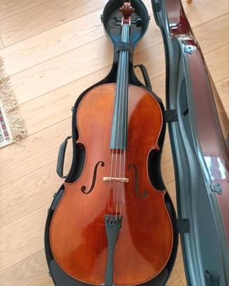 Violoncello usato pochissimo, pari al nuovo.