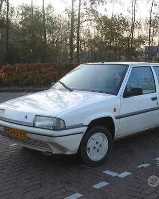 Parabrezza Citroen BX 1983 al 1998