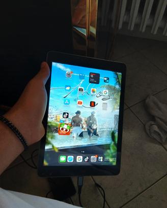 ipad apple