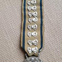 Medaglia Spilla Distintivo Fascismo Fascista AFFN