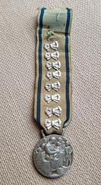 Medaglia Spilla Distintivo Fascismo Fascista AFFN